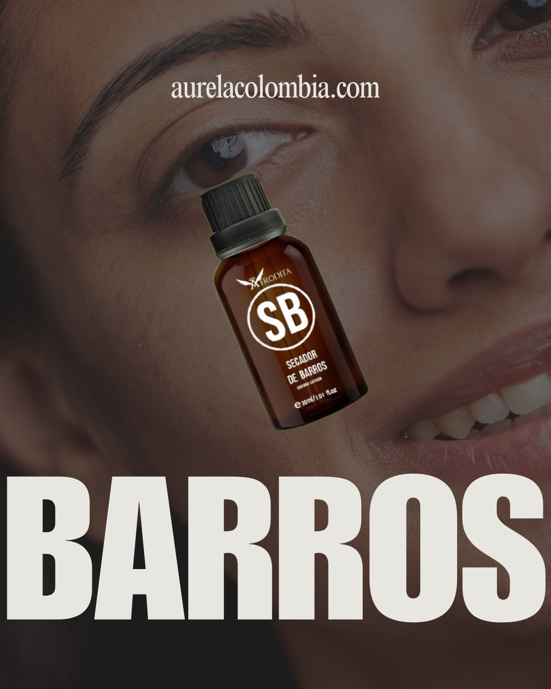 Secador de Barros
